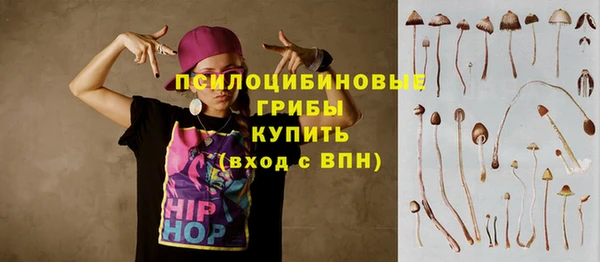 ECSTASY Лагань