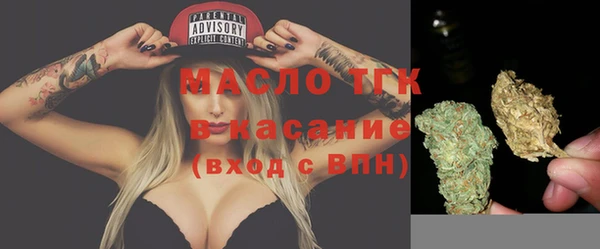 ECSTASY Лагань