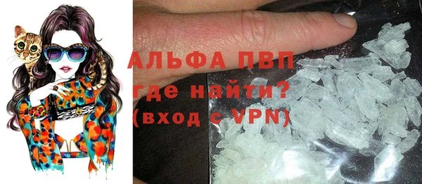 ECSTASY Лагань