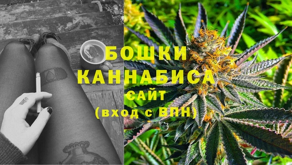 ECSTASY Лагань