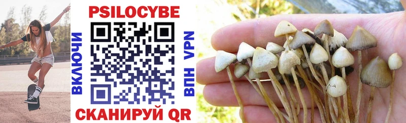 Галлюциногенные грибы Psilocybe  кракен ONION  Усинск  что такое  