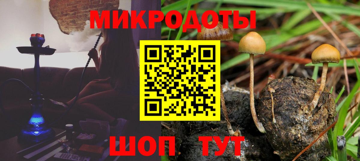 Псилоцибиновые грибы Cubensis Усинск
